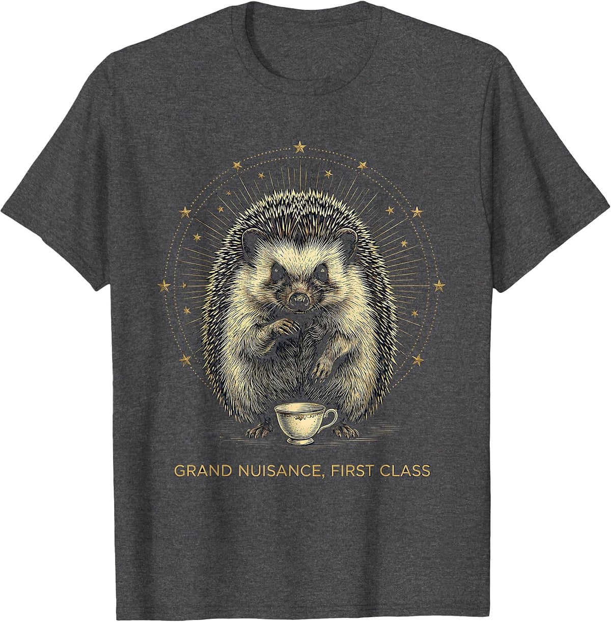 Grand Nuisance, First Class Mystic Celestial Hedgehog Meme T-Shirt - Dark Heather Grey