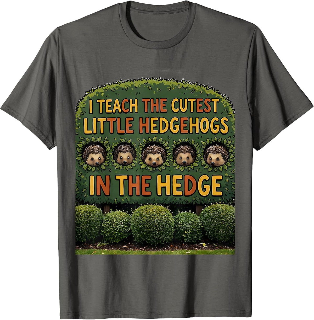I Teach The Cutest Little Hedgehogs In The Hedge Teacher T-Shirt - Asphalt Grey