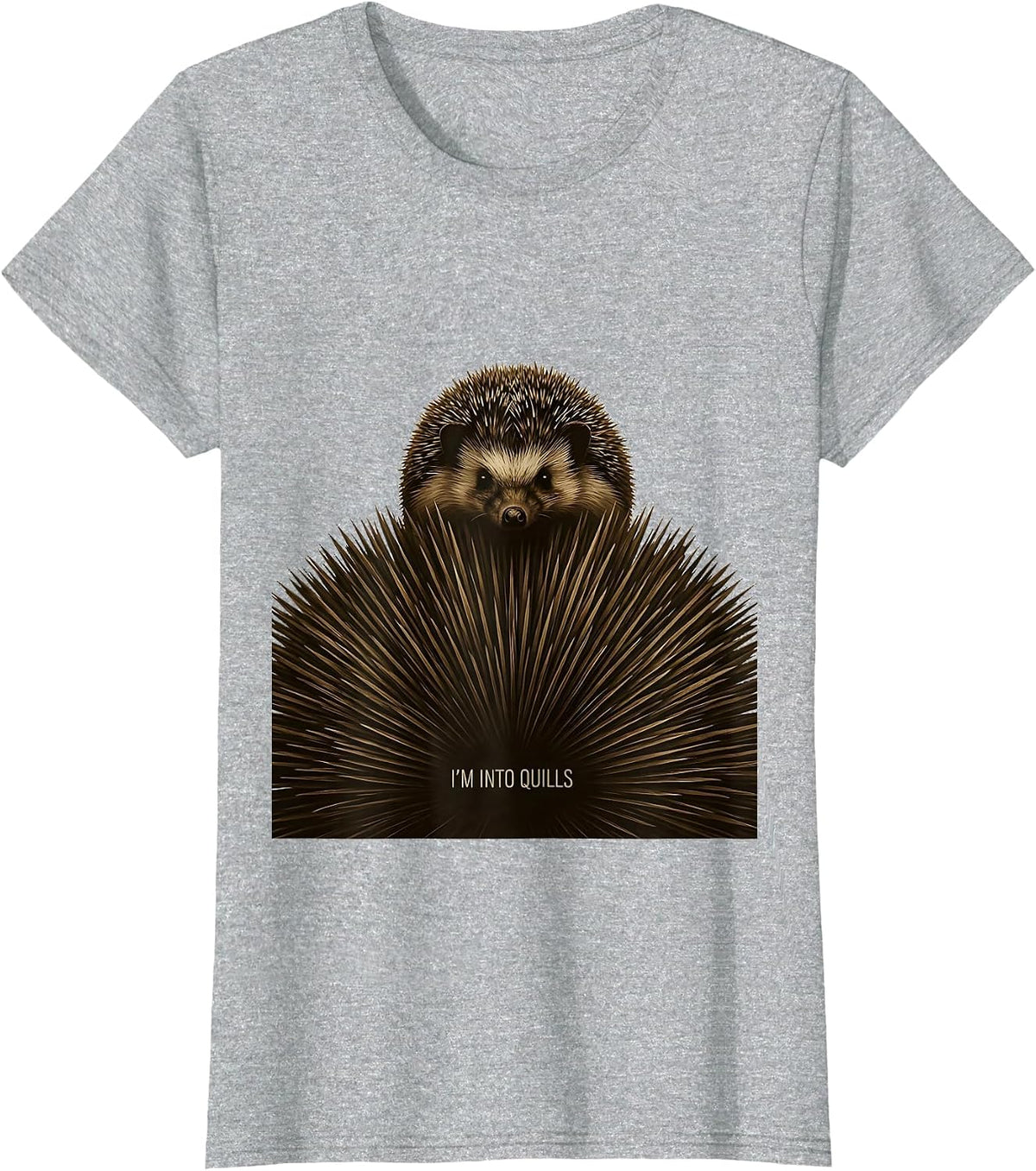 Women's I'm Into Quills Cute Hedgehog Lover Funny Cartoon Humor T-Shirt - Heather Grey