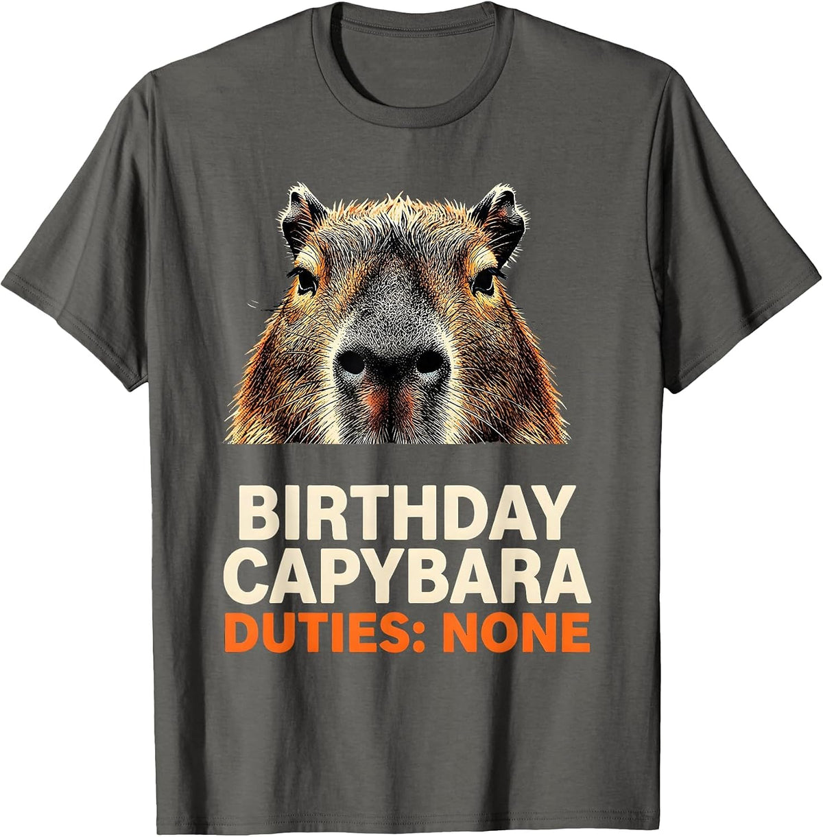 Men's Birthday Capybara Duties None Funny Animal Lover Humor T-Shirt - Asphalt Grey