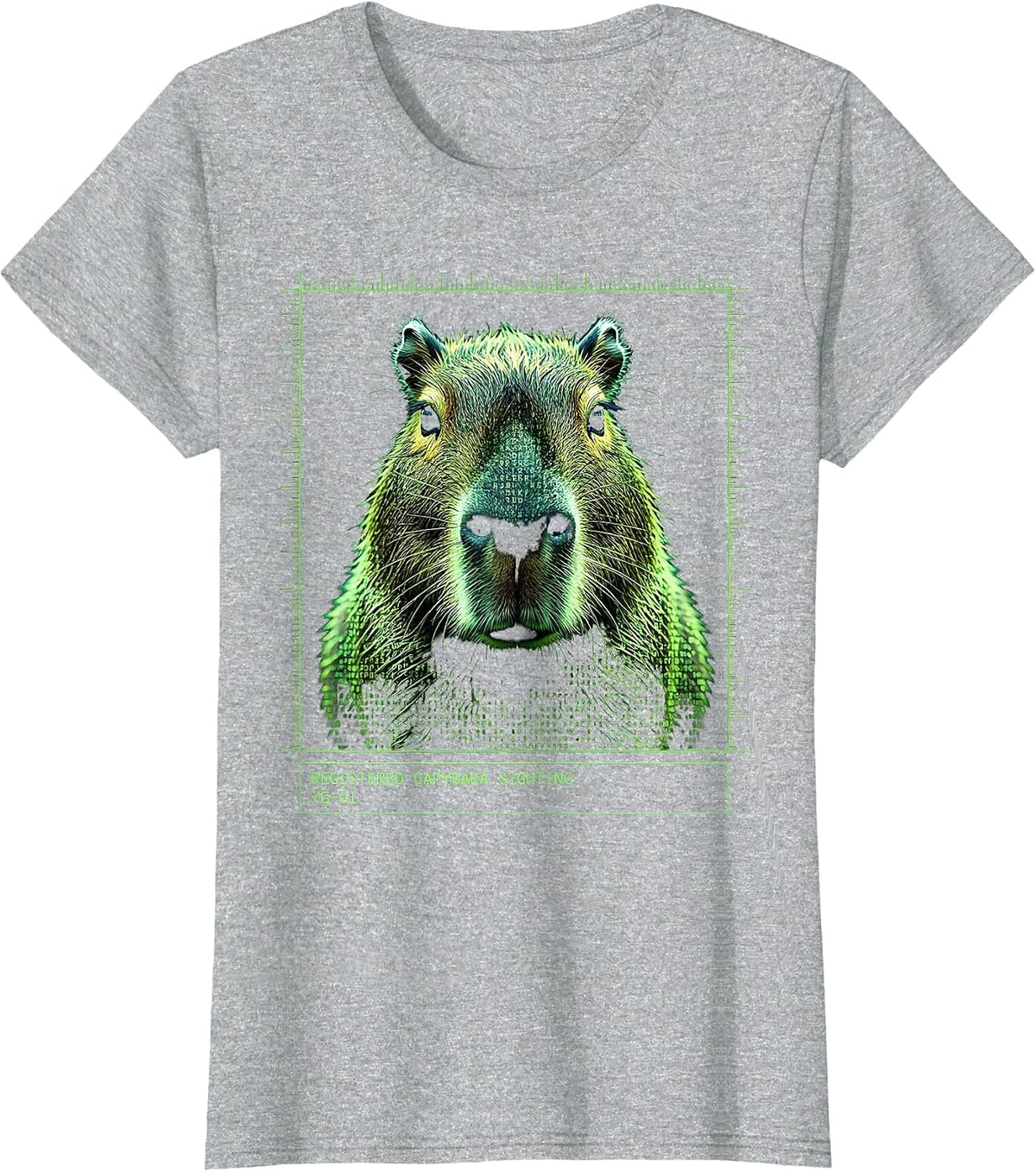 Registered Capybara Sighting 7G-31 Funny Capybara Meme Gamer T-Shirt - Heather Grey