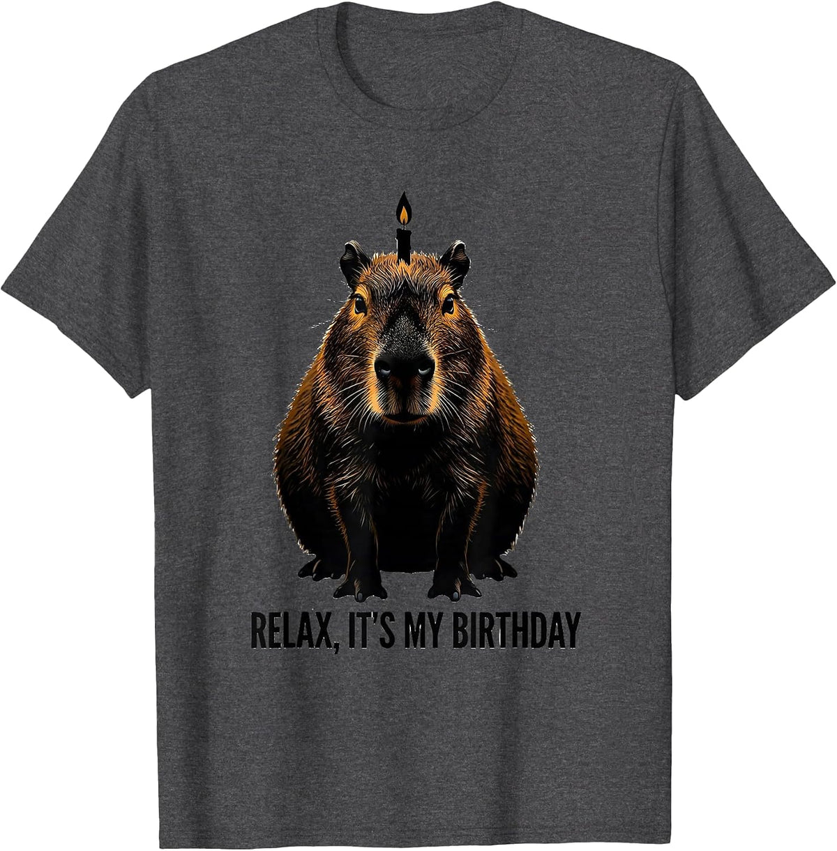 Men's Relax It's My Birthday Capybara Kids Birthday Party Humor T-Shirt - Dark Heather Grey