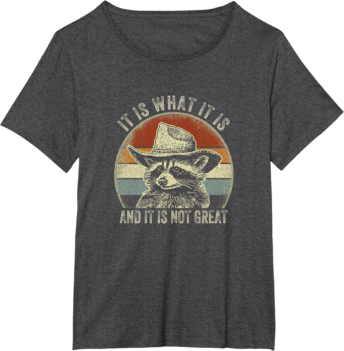 It is What It is and It is Not Great Raccoon Trash Panda T-Shirt - Dark Heather Grey