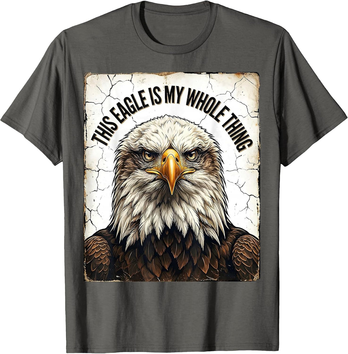 Men's This Eagle Is My Whole Thing Distressed Eagle Lover Faith T-Shirt - Asphalt Grey