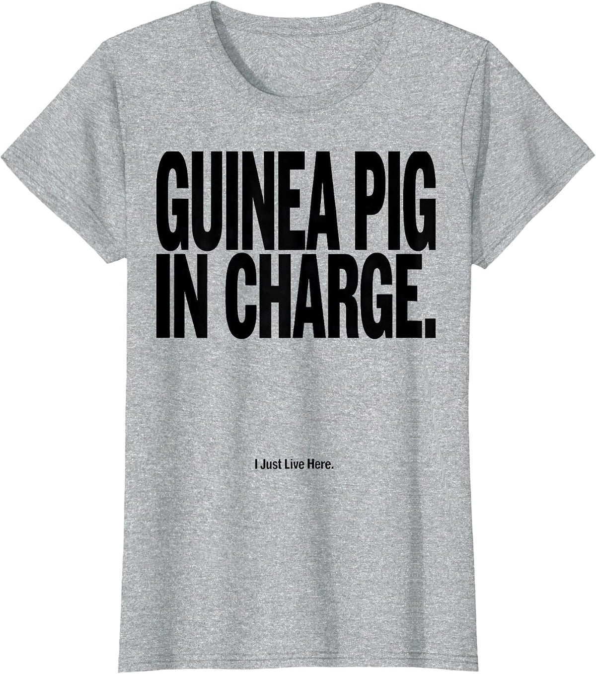Guinea Pig In Charge I Just Live Here Funny T-Shirt - Heather Grey