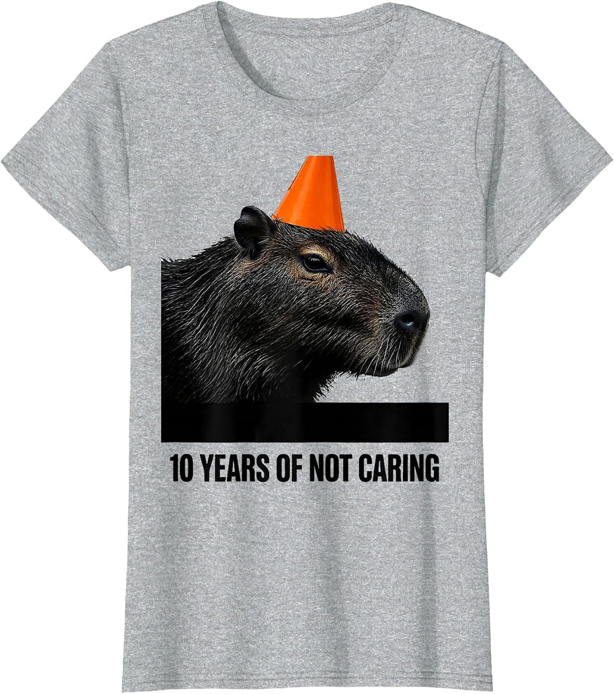 10 Years Of Not Caring Funny Capybara Meme Birthday T-Shirt - Heather Grey