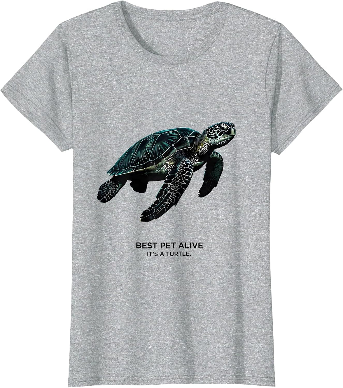 Best Pet Alive It's A Turtle Funny Turtle Lover Gift T-Shirt - Heather Grey