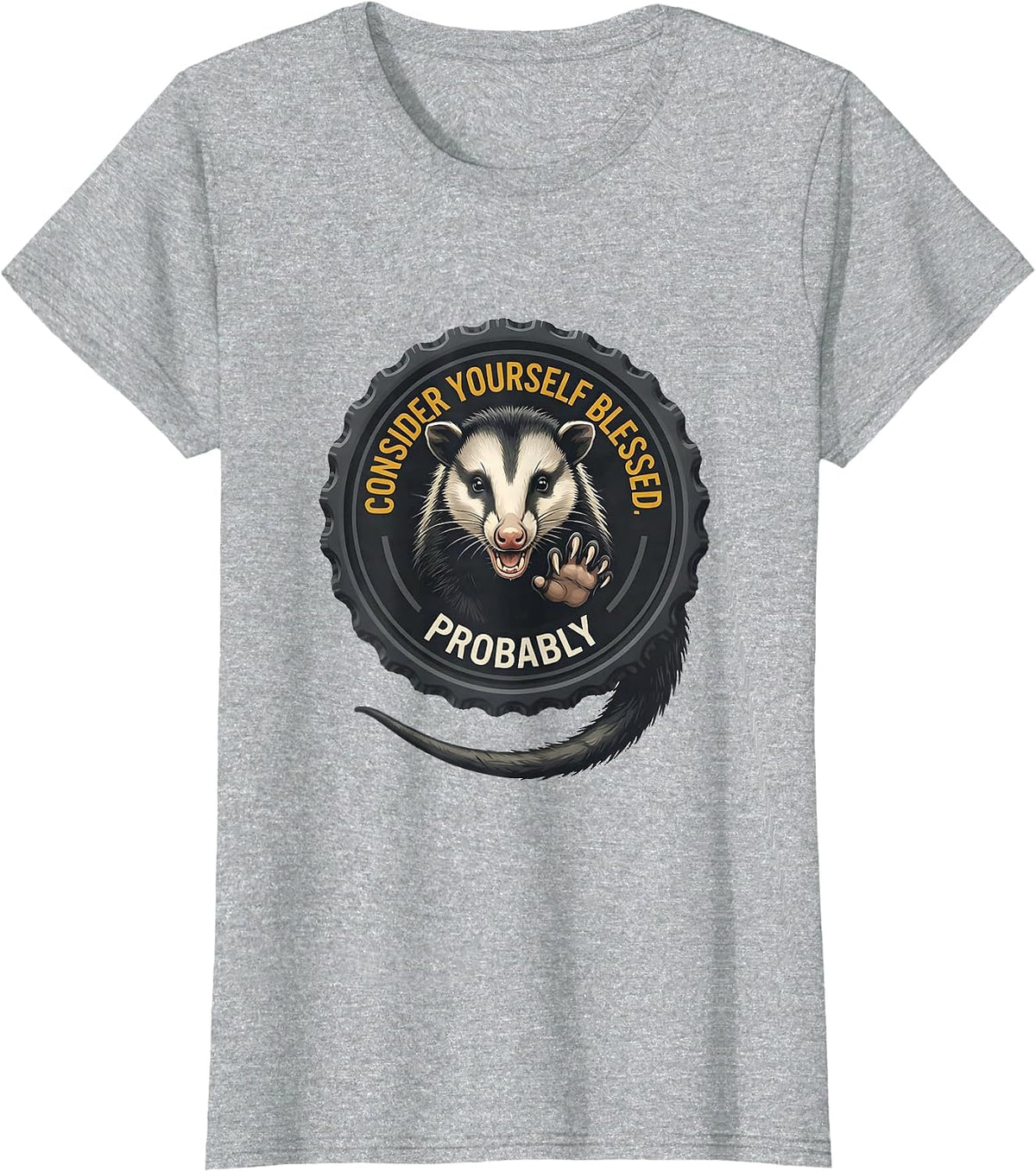 Consider Yourself Blessed Probably Funny Opossum Meme Possum T-Shirt - Heather Grey