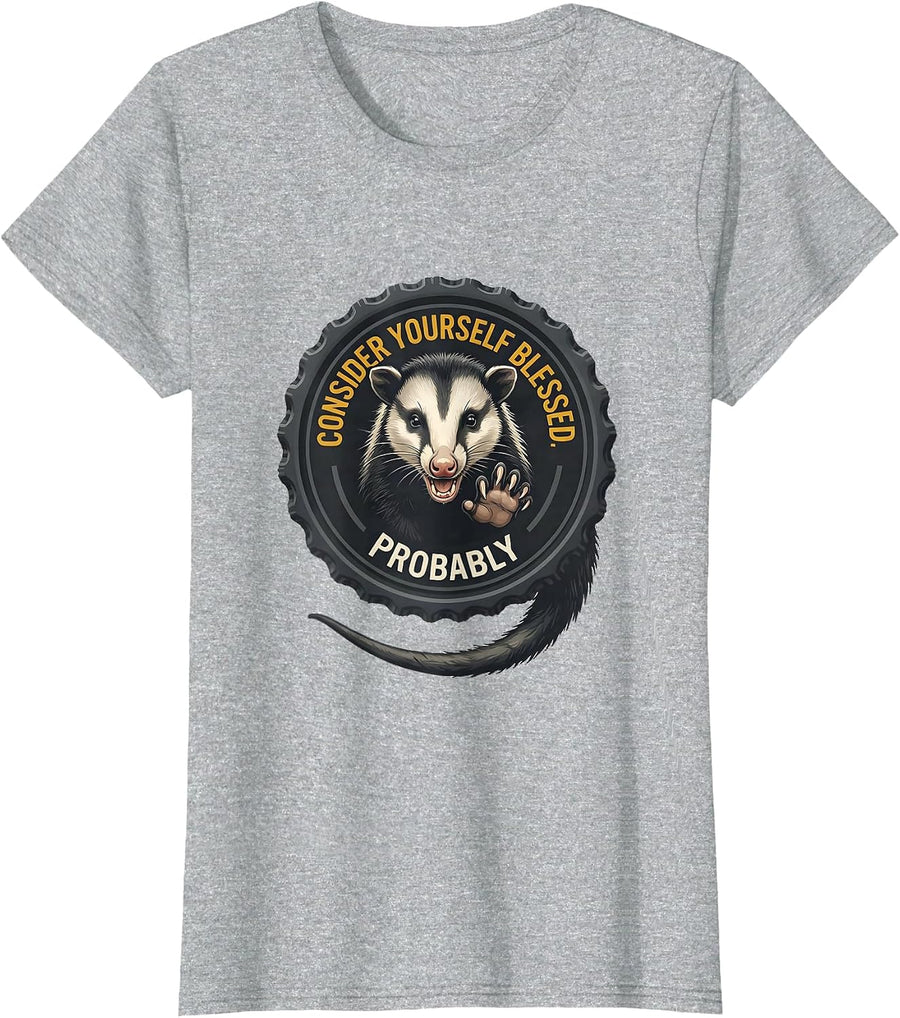 Consider Yourself Blessed Probably Funny Opossum Meme Possum T-Shirt - Heather Grey