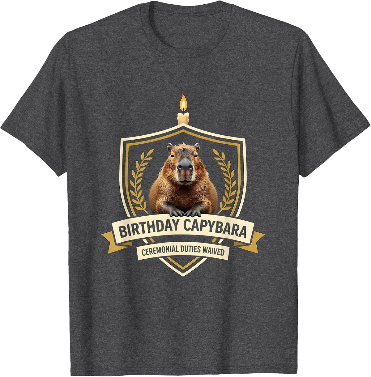 Men's Birthday Capybara, Ceremonial Duties Waived Funny T-Shirt - Dark Heather Grey