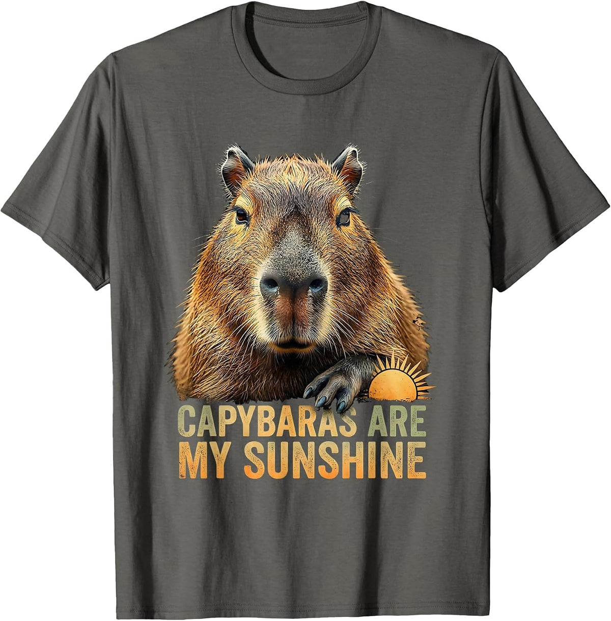 Men's Capybaras Are My Sunshine Funny Animal Meme Gamer Gift T-Shirt - Asphalt Grey