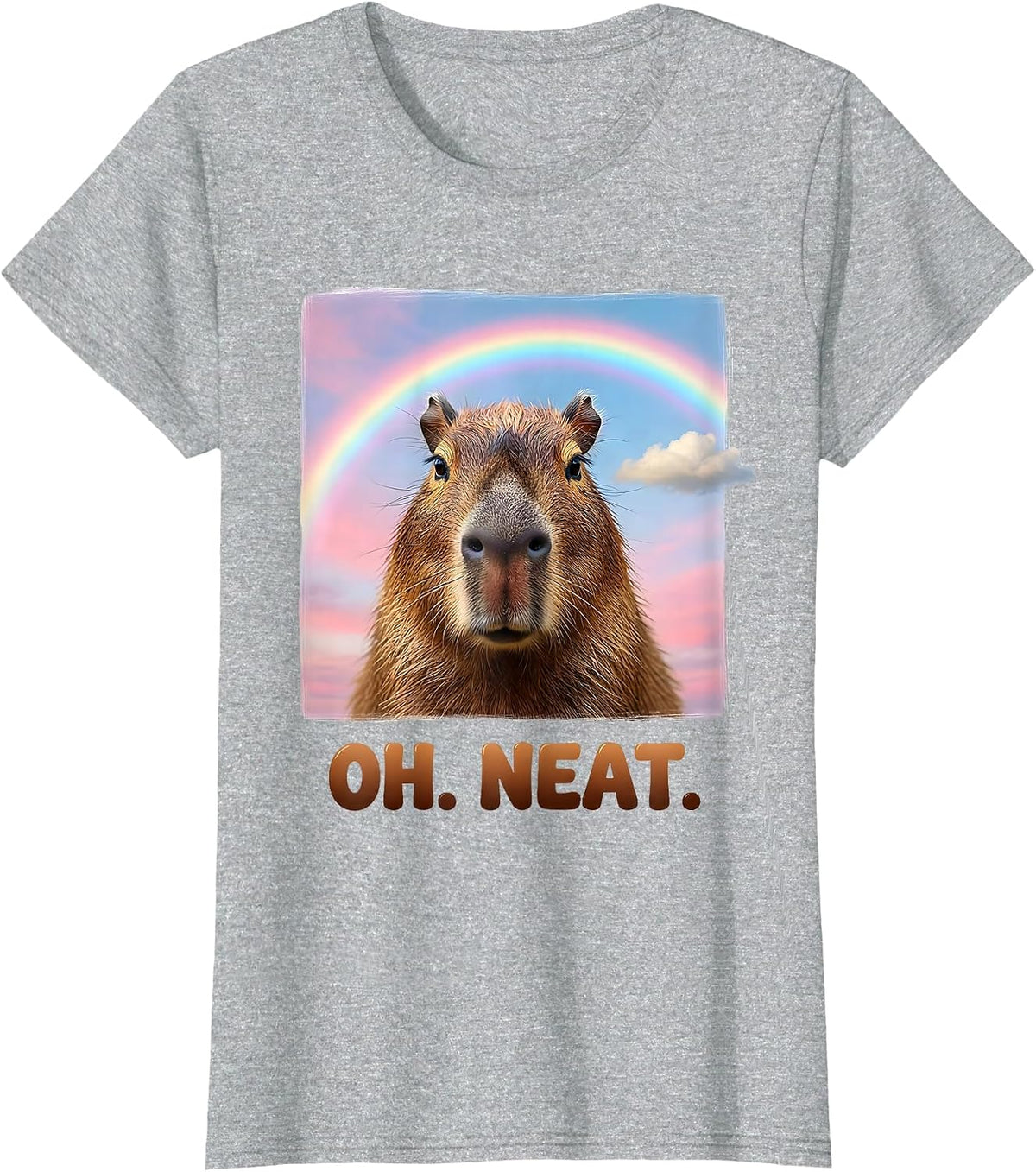 Women's Oh Neat Capybara Meme Humor Dank Animal Lover Gift T-Shirt - Heather Grey