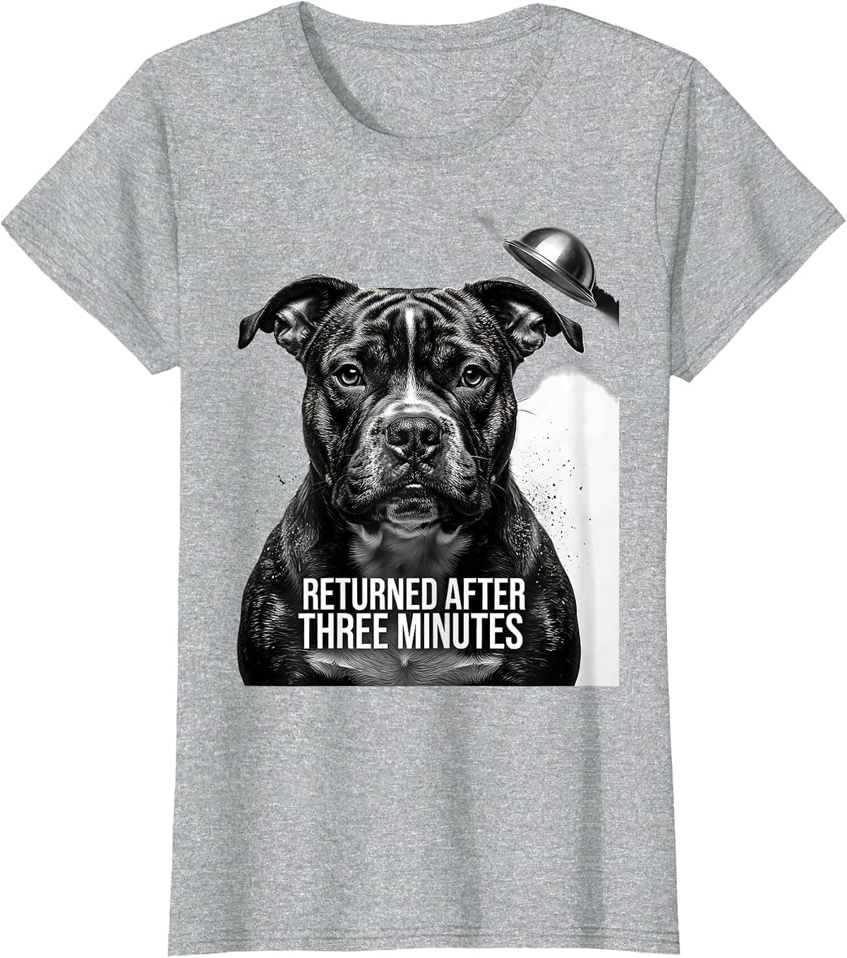 Returned After Three Minutes Funny Bull Terrier UFO Selfie T-Shirt - Heather Grey