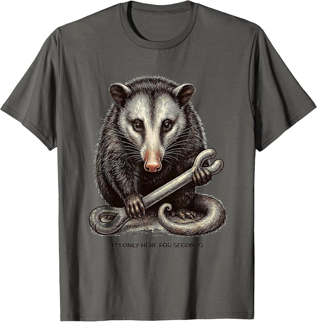 I'm Only Here For Seconds Funny Opossum Thanksgiving T-Shirt - Asphalt Grey