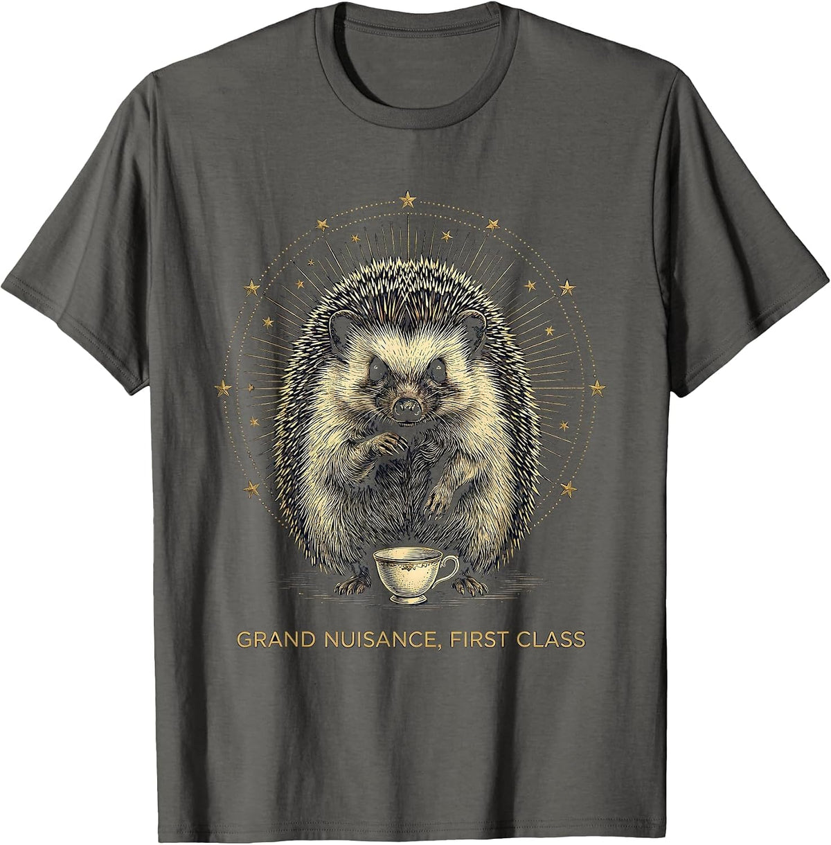 Grand Nuisance, First Class Mystic Celestial Hedgehog Meme T-Shirt - Asphalt Grey