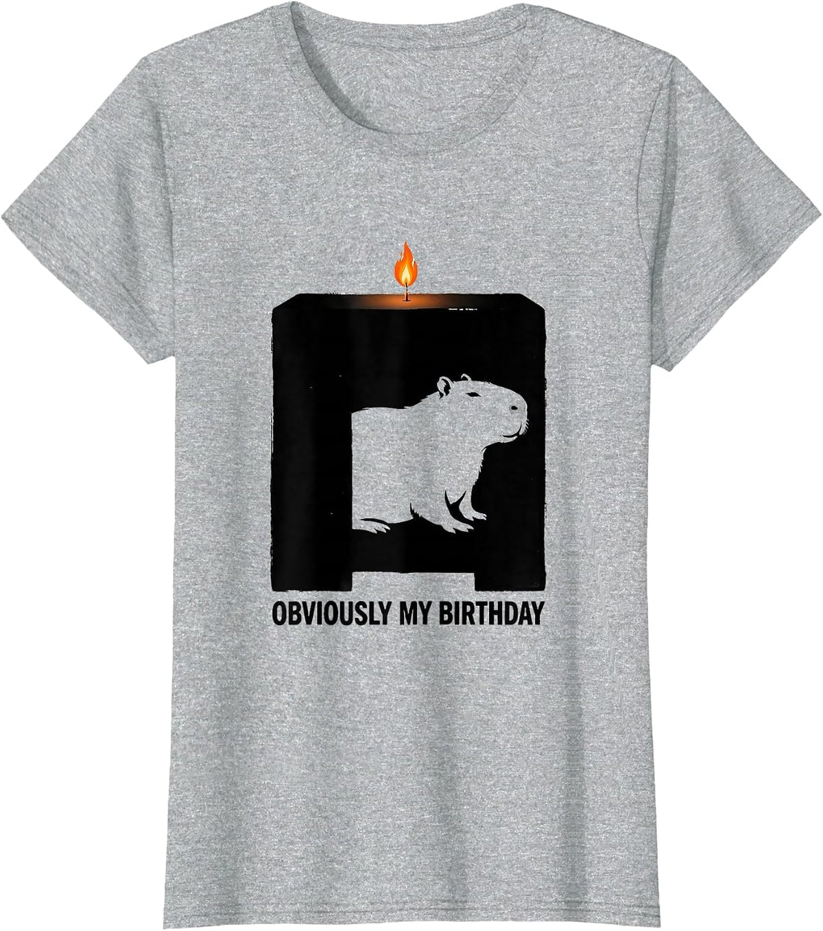 Women's Obviously My Birthday Kawaii Capybara Birthday To Me Cute T-Shirt - Heather Grey