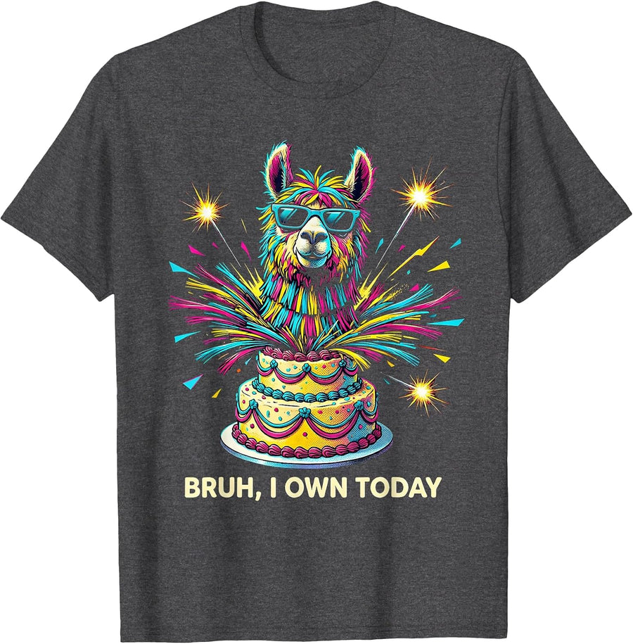 Men's Bruh I Own Today Pop Art Llama Piñata Birthday Boy Party T-Shirt - Dark Heather Grey