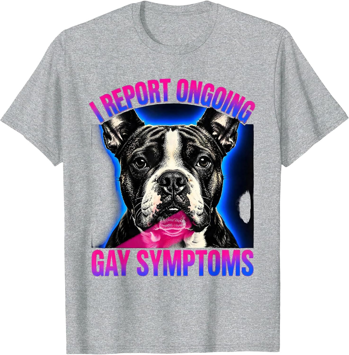 Men's I Report Ongoing Gay Symptoms Funny Bull Terrier Meme T-Shirt - Heather Grey