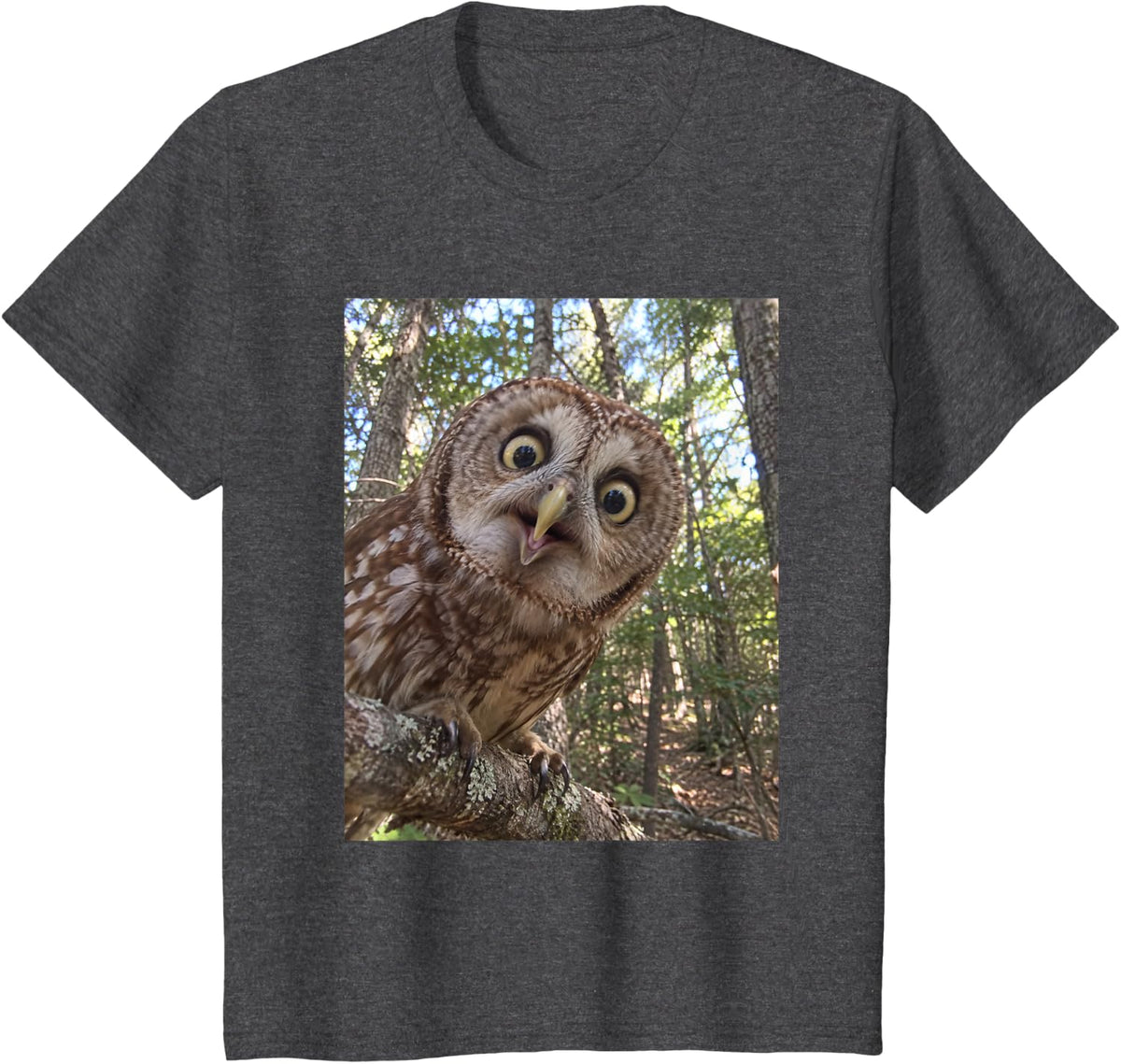 Funny Owl Shocked Face Silly Wildlife Photo Meme T-Shirt - Dark Heather Grey