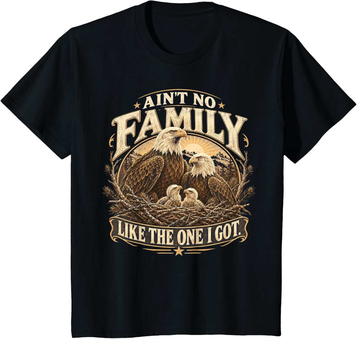 Ain't No Family Like The One I Got Family Matching Reunion T-Shirt - Black
