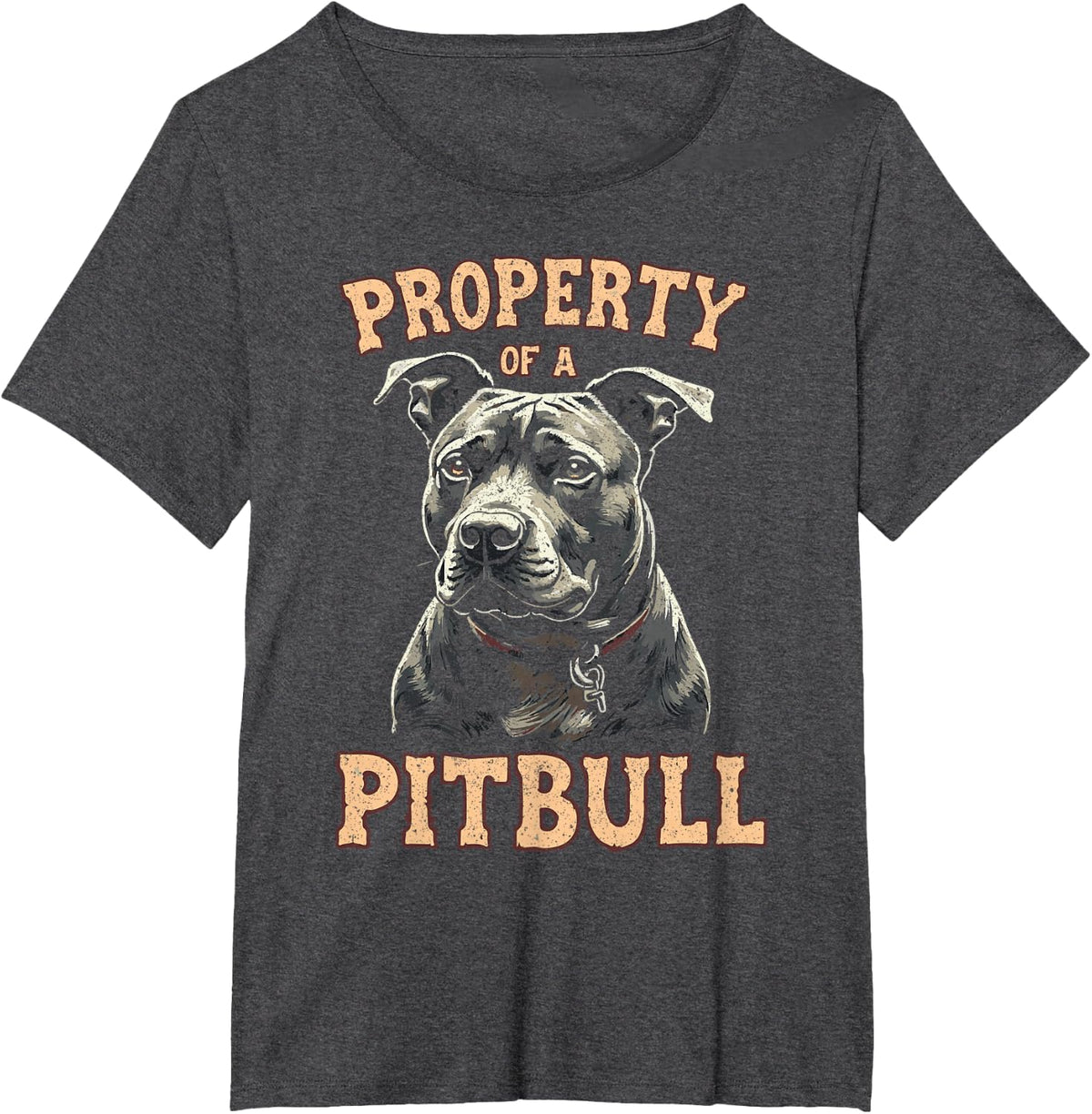 Property of A Pitbull T-Shirt - Dark Heather Grey