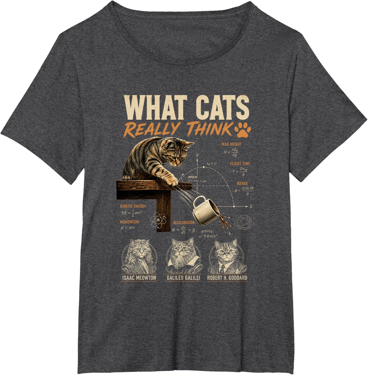 What Cats Really Think Funny Physics Science Cat Nerd Humor T-Shirt - Dark Heather Grey
