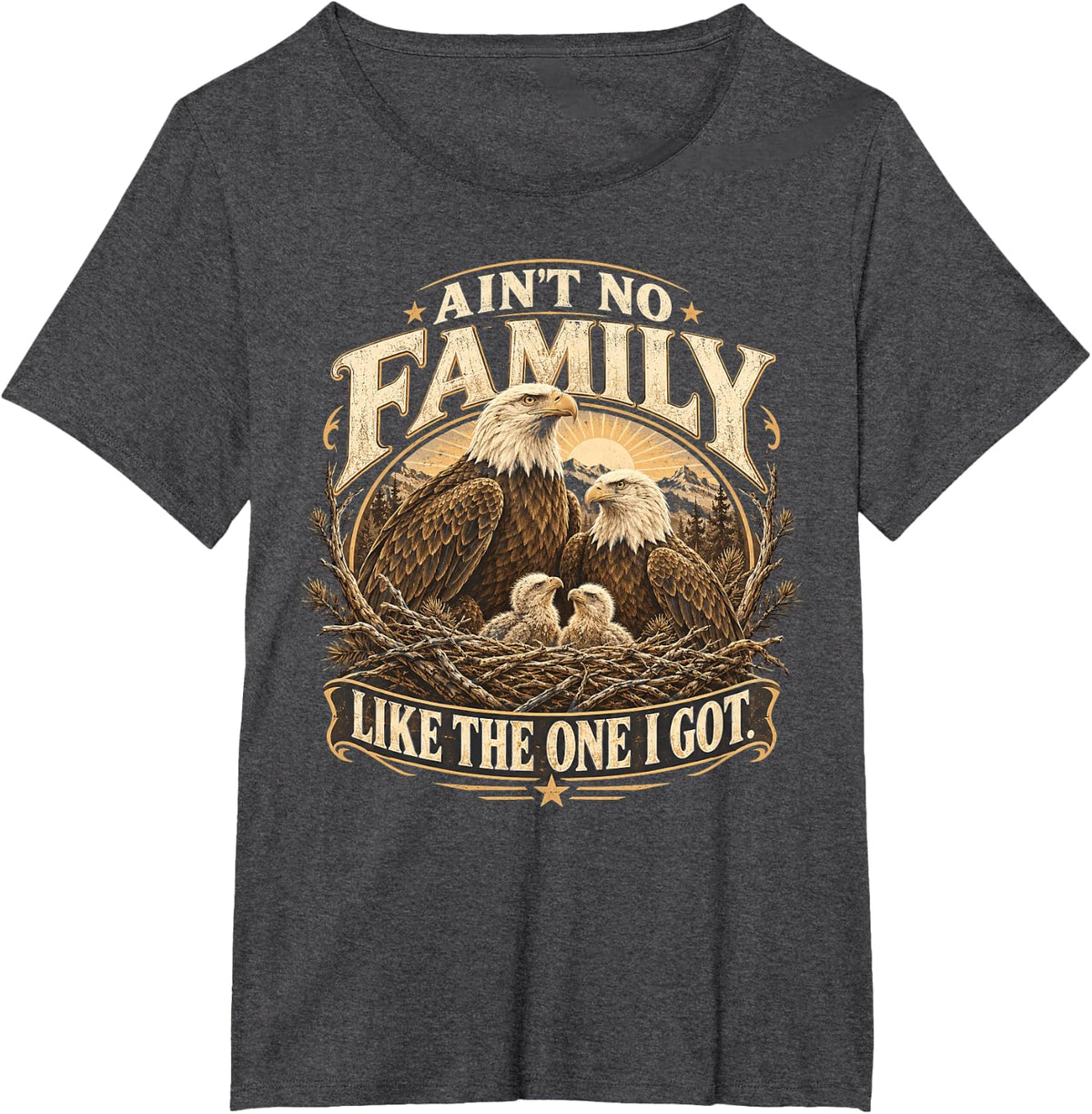 Ain't No Family Like The One I Got Family Matching Reunion T-Shirt - Dark Heather Grey